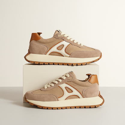 The Apex Court Sneaker
